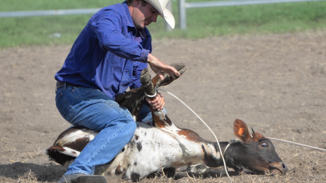 A petition with 60,000 signatures has called for an end to calf roping in Queensland rodeos