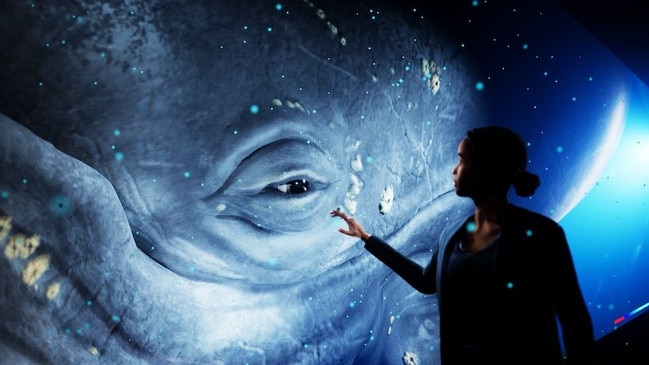 Axiom Holographics is a Brisbane-based company behind the world’s first hologram zoo.