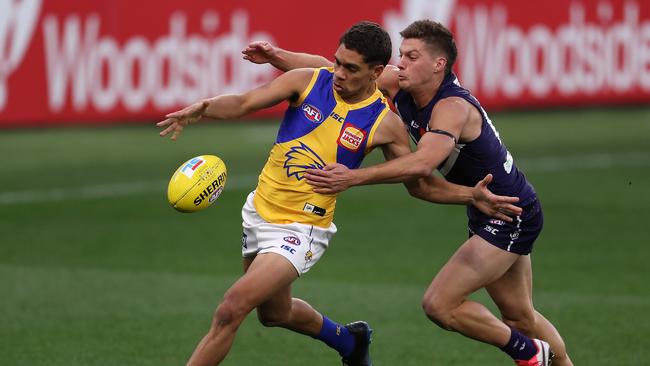 Jarrod Cameron has plenty of skill as a small forward (Photo by Paul Kane/Getty Images)