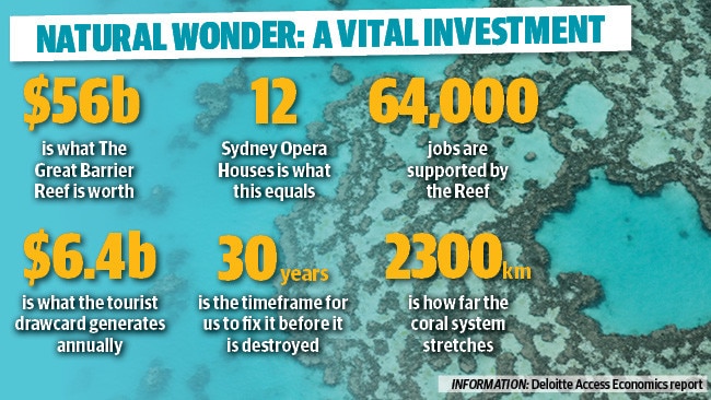 How Much Does The Great Barrier Reef Grow Each Year