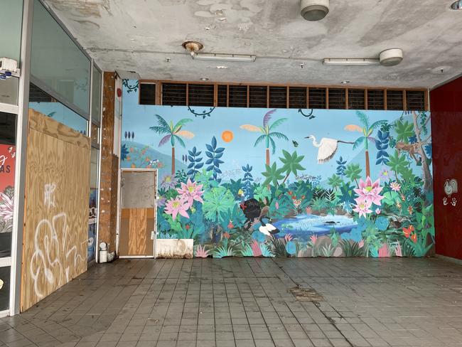 A wrecked roof, graffitied walls, and damaged tiles at the former Dimmeys Arcade greets visitors to the Townsville CBD. Picture: Leighton Smith.