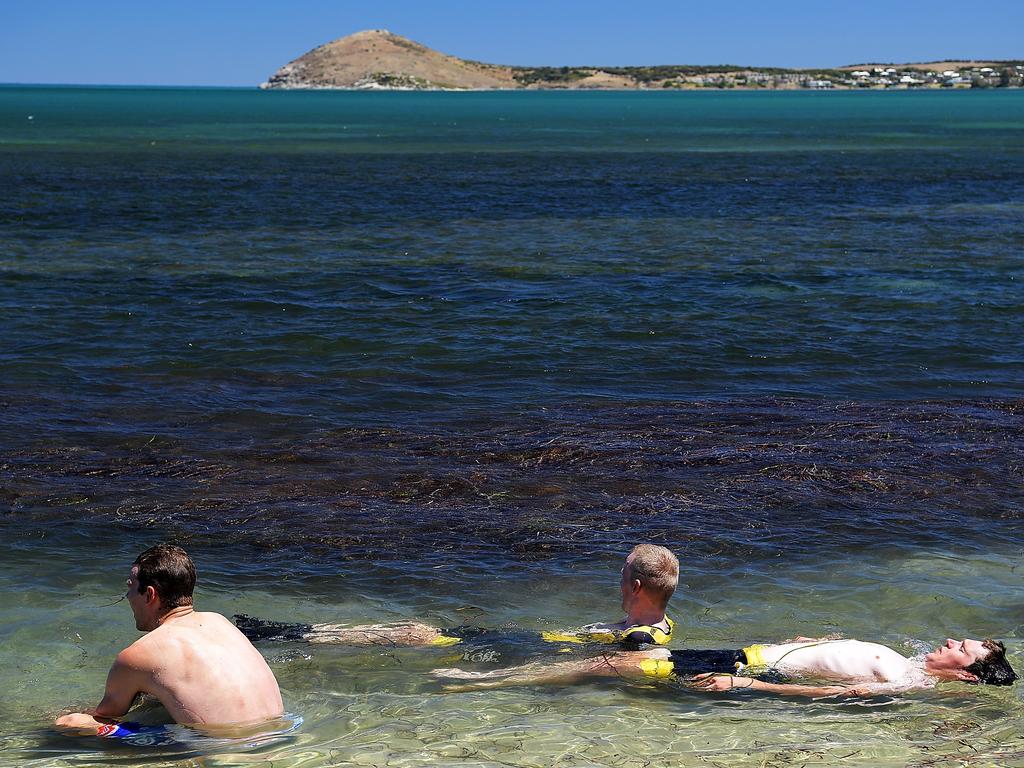 Cyclists cool off in the sea at Victor Harbor after the stage three finish. Picture: Daniel Kalisz/Getty Images