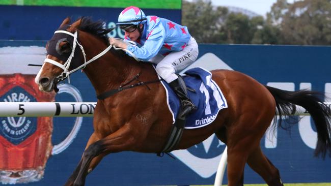 Ron Dufficy and Ray Thomas both have Naval Seal as their best bet of the day at Rosehill. Picture: Grant Guy