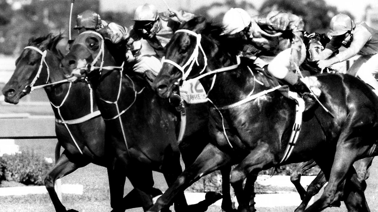 APRIL, 1987 : Racehorse Marauding (outside) ridden by jockey Ron Quinton wins 1987 Golden Slipper Stakes at Rosehill in Sydney, 04/87. Pic News Limited.  Turf A/CT