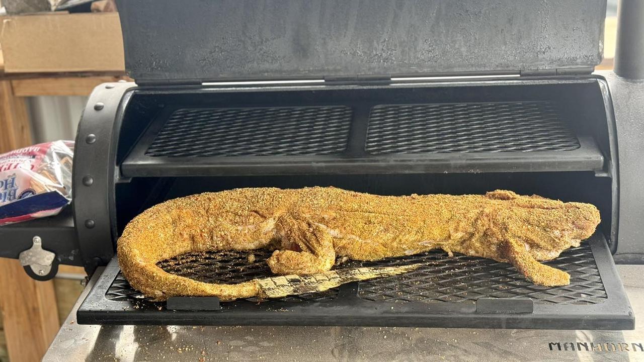 A crocodile ready to be cooked on the barbecue. Picture: Kelly's Meats