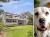No pets allowed? MP’s Airbnb beach retreat has a no pup policy