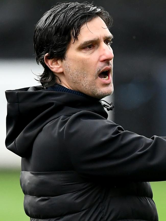 South Melbourne coach Esteban Quintas. Picture: Josh Chadwick