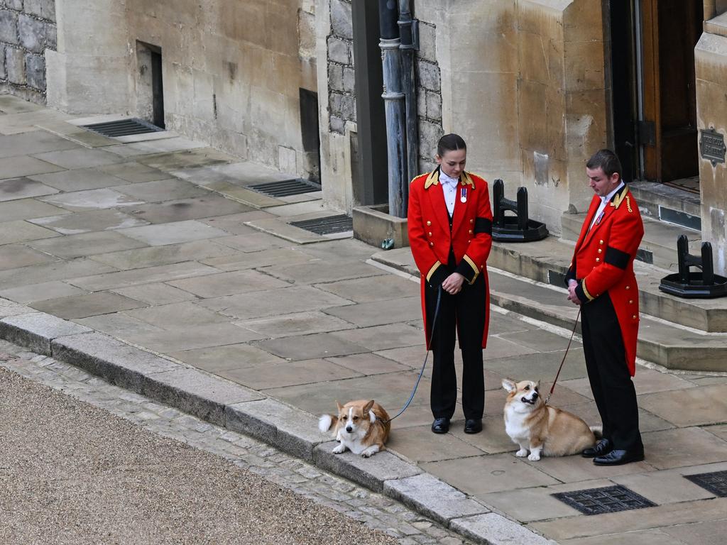 The Queen's corgis, Muick and Sandy inside Windsor Castle. Picture: Getty Images