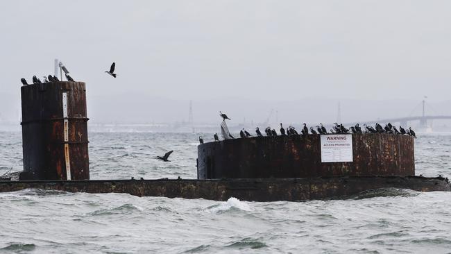 The council wants to pump the wreck full of concrete — but the Friends of the Cerberus group disagree.