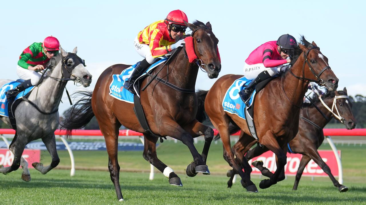 Rick’s Cafe was Rhiannon Schiffer’s first city winner at Sandown and will the hobby trainer’s first runner at Flemington. Picture: Scott Barbour-Racing Photos