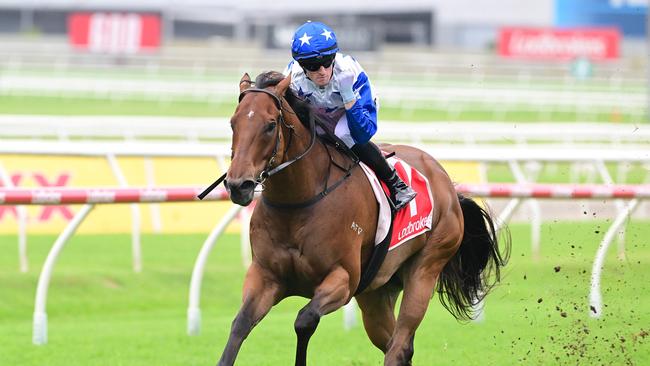 Hidden Wealth, pictured with jockey Kyle Wilson-Taylor aboard in a previous win at Doomben, won the Racing Queensland Magic Millions QTIS Open (1300m) on Friday. Picture: Grant Peters, Trackside Photography.