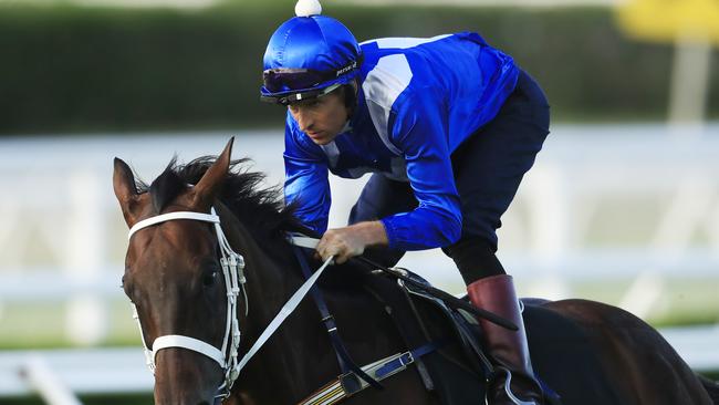 Hugh Bowman on Winx during an exhibition gallop at Royal Randwick Racecourse on February 9. Picture: Mark Evans/Getty Images