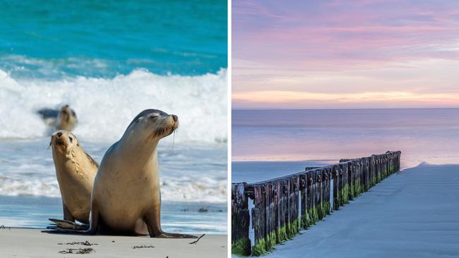 Seal Bay, Kangaroo Island and East Beach, Port Fairy.