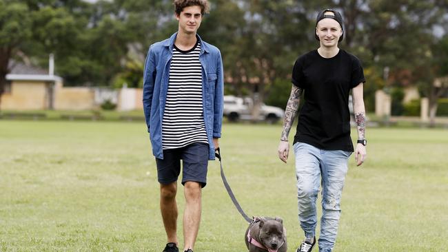 Staffordshire bull terriers aka staffies are the Gold Coast’s most popular dog for the fourth year in a row. Brother and sister Jake, 17, and Ashlea Martin, 26, with their staffie Lucy. Picture: Jerad Williams