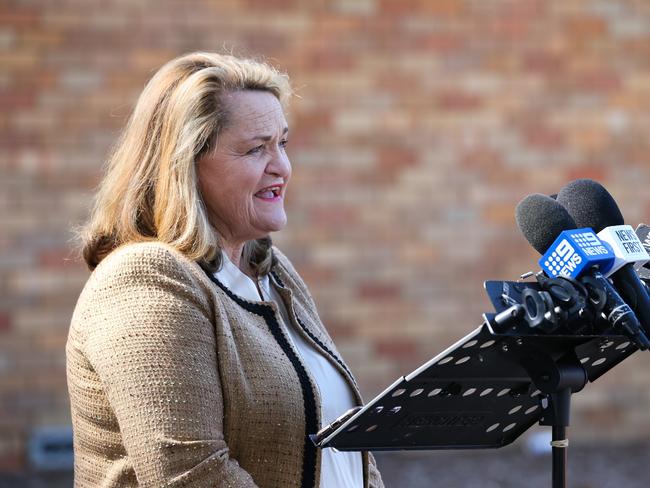 Minister for Local Government Wendy Tuckerman announced the independent review in November 2021.