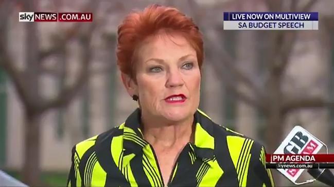 Pauline Hanson says autism speech backlash is "political point scoring" 