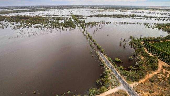 The Murray River floods weighed on RAA’s financial result. Picture: SASES