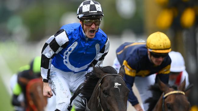 *APAC Sports Pictures of the Week - 2022, November 7* - MELBOURNE, AUSTRALIA - NOVEMBER 01: Mark Zahra riding #1 Gold Trip wins race seven, the Lexus Melbourne Cup during 2022 Lexus Melbourne Cup Day at Flemington Racecourse on November 01, 2022 in Melbourne, Australia. (Photo by Quinn Rooney/Getty Images)