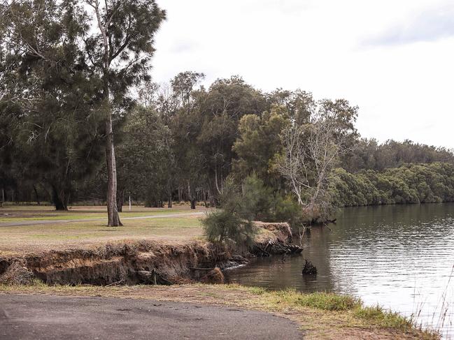 Mosquito trapping at Deepwater Park identified some as having Ross River virus. Picture: Carmela Roche