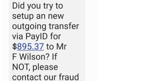 The messages that started the scam. Picture: Supplied