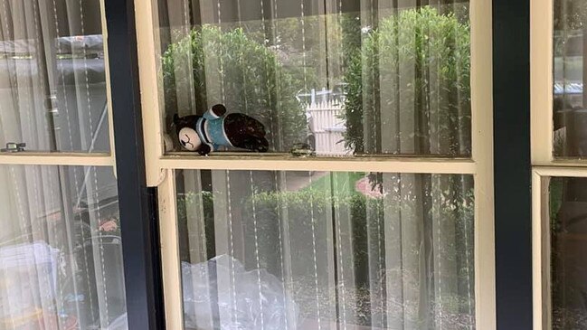 A bear takes a breather on a window sill in Cheltenham (Pennydale). Picture: Daniela Bücheler-Scott