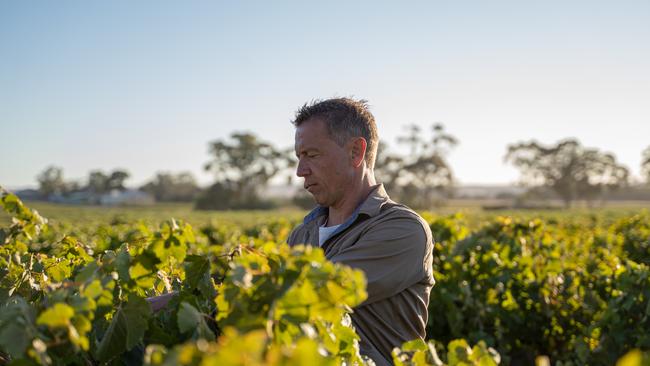 Passion: Kym Teusner at work in the Barossa.