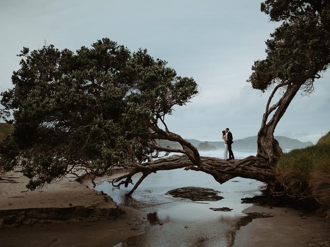 Katherine Brook of Wild &amp; Grace photographed this couple balancing on a tree in Northland, New Zealand.