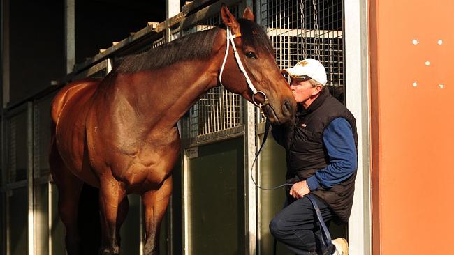 Even without Polish Knight, trainer John Hawkes has a strong hand at Randwick with Leebaz and Ninth Legion. 