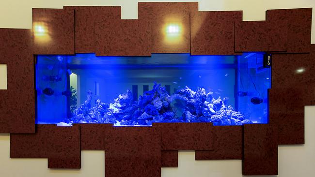 <a href="https://www.realestate.com.au/property-house-qld-mudgeeraba-127418522" target="_blank">The in-built aquarium.</a>