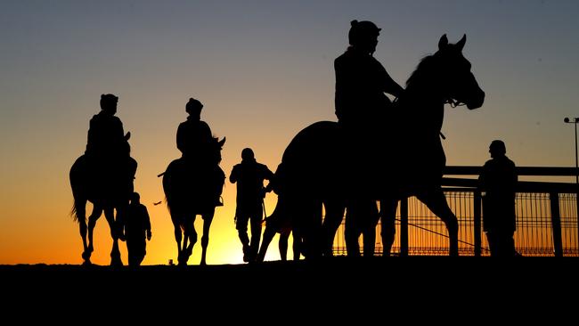 Trainers have been told the training tracks at Eagle Farm will be off limits after 6.30am. Picture: Darren England