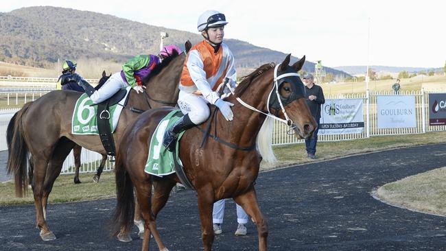 Chaotic Beauty can bounce back from her last at Goulburn recently. Picture: Bradley Photos