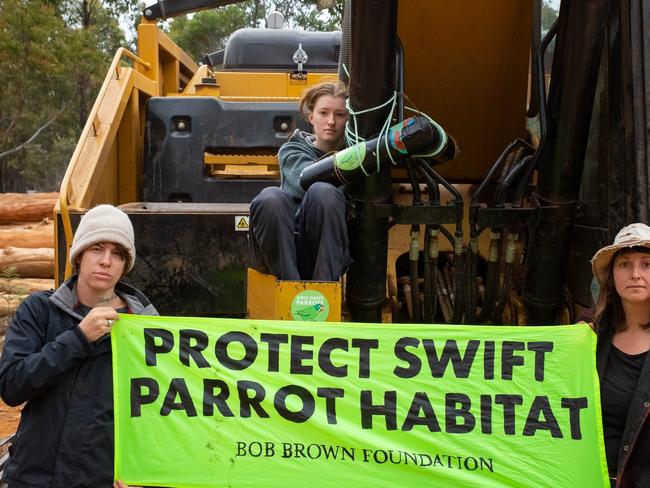 Protestors halting logging in North-East Tasmania, in forests said to be habitat for the critically endangered swift parrot.