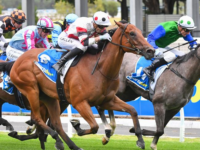 Superconstellation ridden by Ben Allen wins the Sportsbet Make It Look Easy Plate  at Caulfield The Heath Racecourse on March 13, 2024 in Caulfield, Australia. (Photo by Pat Scala/Racing Photos via Getty Images)