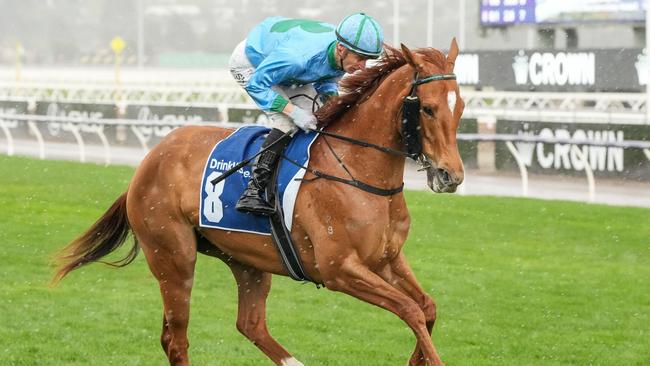 Alsephina on the way to the barriers prior to the running of  the Furphy Let's Elope Stakes at Flemington Racecourse on September 14, 2024 in Flemington, Australia. (Photo by George Sal/Racing Photos via Getty Images)