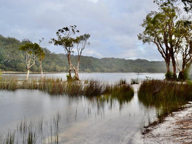 The burn will happen along the Poona National Park border, near Maaroom.