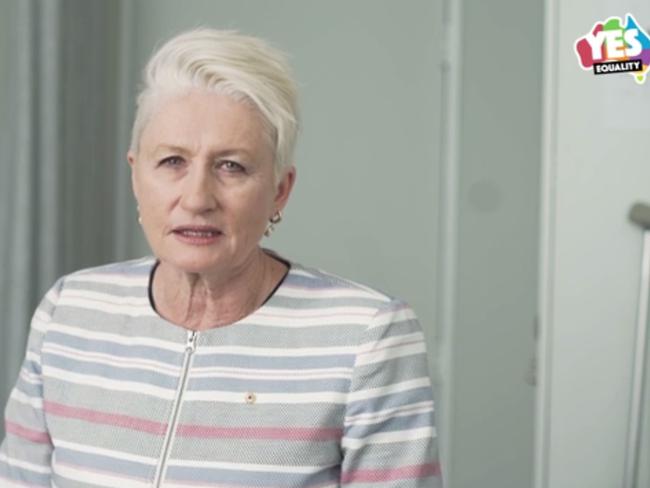 Dr Kerryn Phelps features in the 'Yes' campaign response to the 'No' advertisement. Picture: Supplied