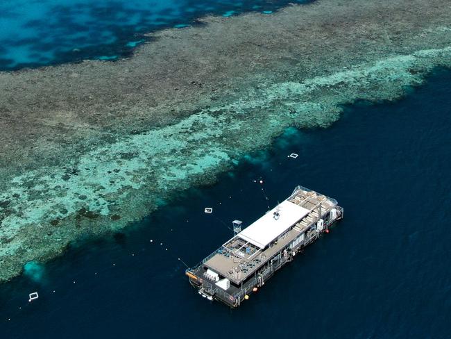 Aerial shot of Cruise Whitsunday pontoon, out at Hardy Reef, Queenslandcredit: Johnny Gaskellescape5 December 2021cover story gift guide