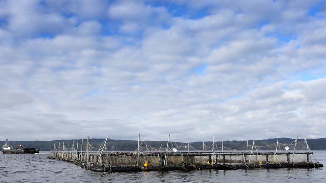 Huon Aquaculture fish farm at Macquarie Harbour. Picture Chris Kidd