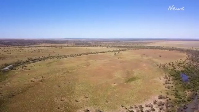 Queensland's Channel Country comes to life