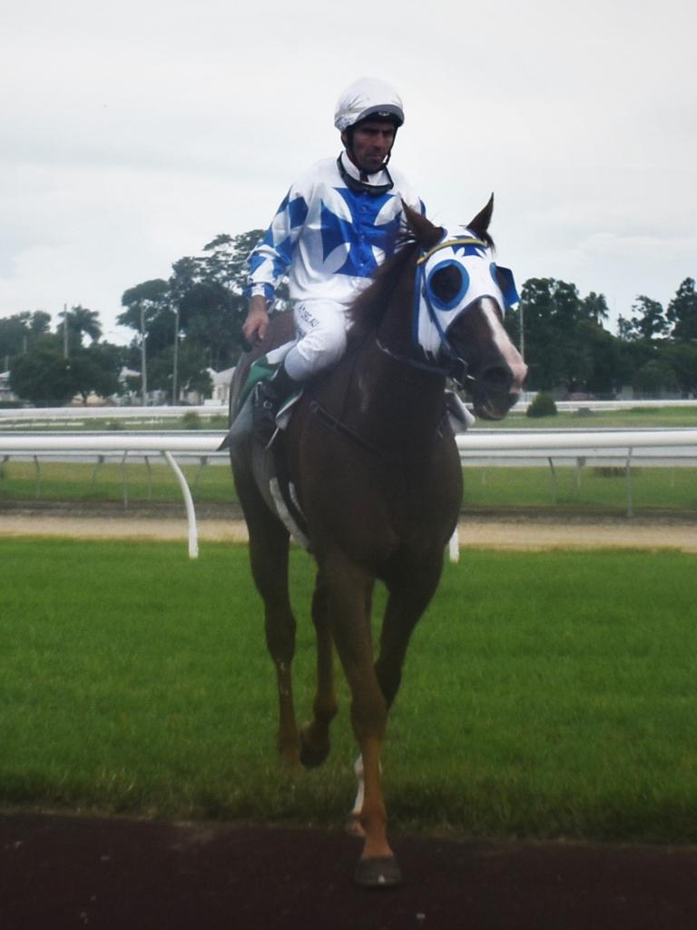 Yamba Cup Win For John Sprague Trained Patriot At Grafton Races 