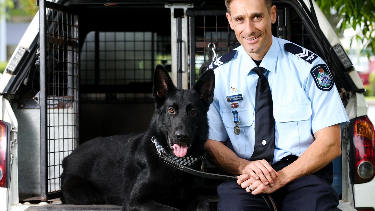 Cairns crime: Police dog Bally retires after big career getting bad ...