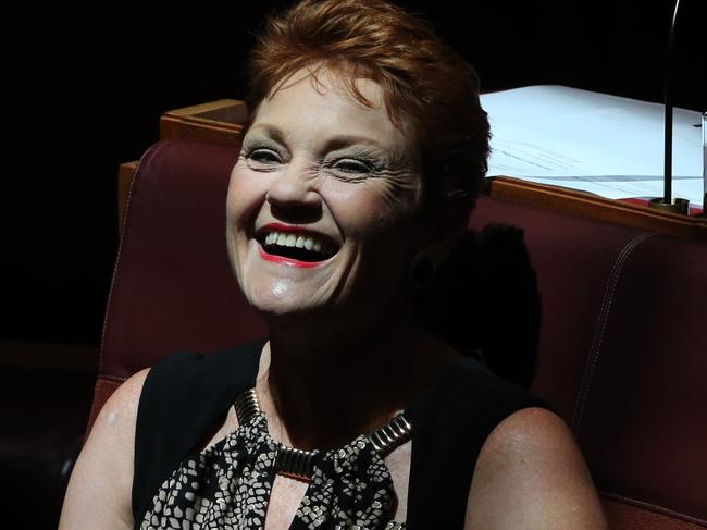 Senator Pauline Hanson during Senate Question Time in the Senate in Parliament House in Canberra. Picture Gary Ramage