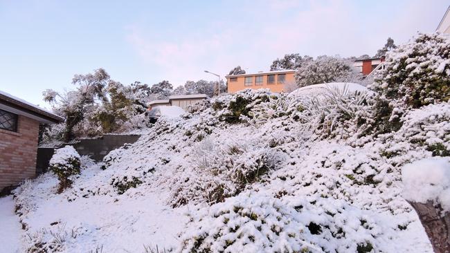 Hobart Snow. Snow covers houses in Sandy Bay. Image by - Sheryl Woulleman-King