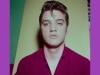 The musicians that shaped the Elvis sound