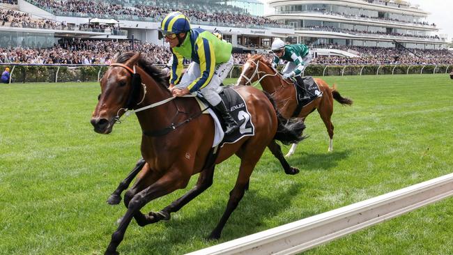 Kalapour winning the Archer Stakes at Flemington last spring. Picture: George Sal/Racing Photos via Getty Images