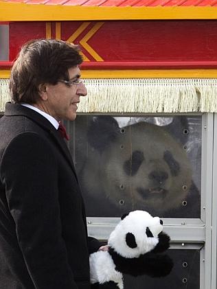 Touchdown... The Belgium leader and Hao Hao on the tarmac at Zaventem airport in Brussels. Picture: Virginia Mayo/AP