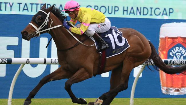 Finepoint looks a great chance in the Group 3 Angst Stakes. Picture: Grant Guy