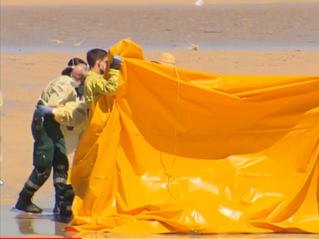 Adelaide man has died at Grange Beach while he was trying to save his daughter. Picture: 7 News