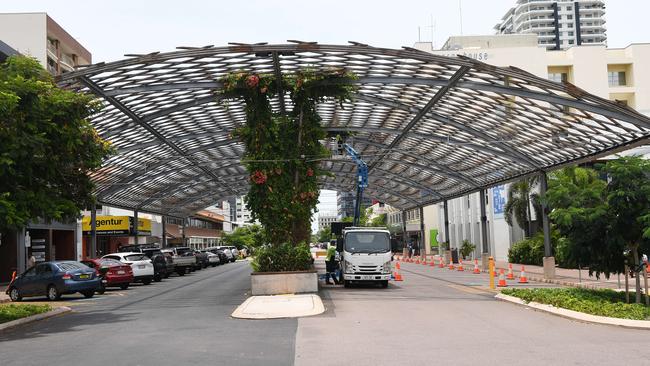 The vines at the shade structure on Cavenagh St have still not completely covered the arc, nearly two years after they were planted. Picture: Katrina Bridgeford