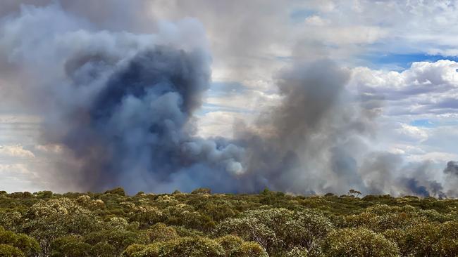 The Electrical Trade Union says the longer maintenance for Australia’s electricity grid is slashed, the higher risk there is of bushfires. Picture: Glenn Milne